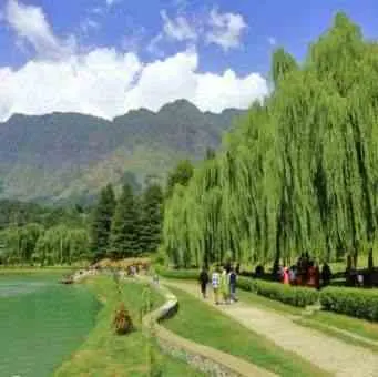 Botanical garden