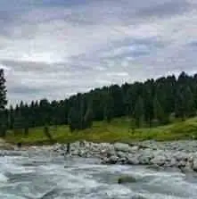 Doodhpathri