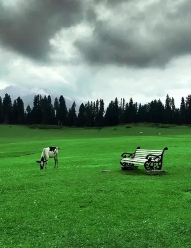 Doodpathri, Kashmir