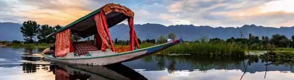 Fabulous Kashmir Family Pack