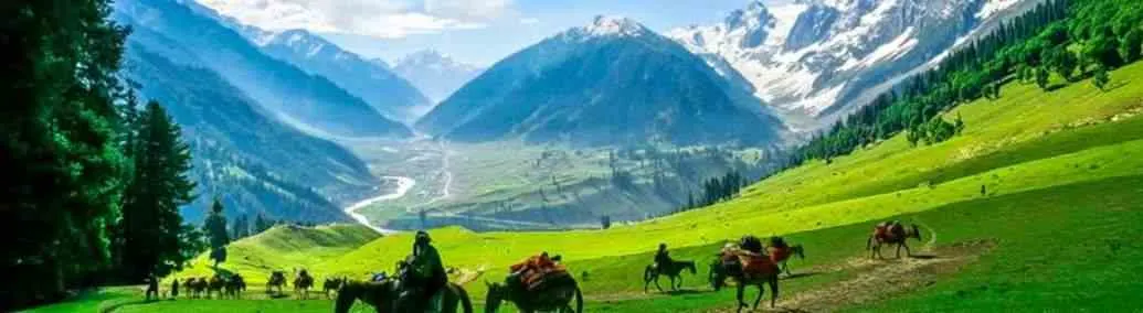 Glory Of Heaven Kashmir Pack