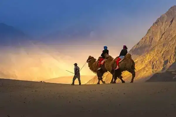 Ladakh specilal