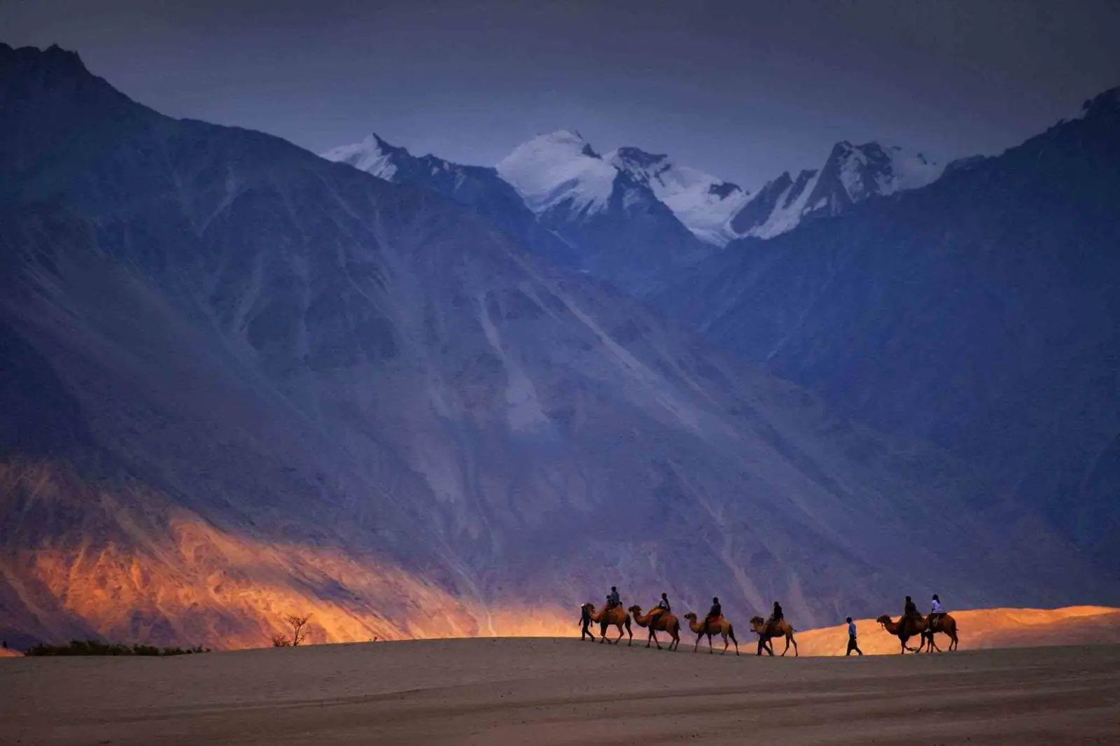 Nubra Valley