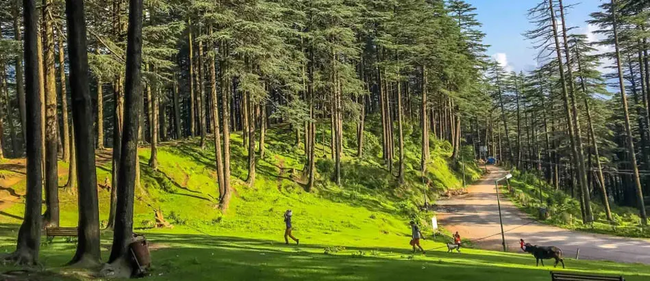 Patnitop