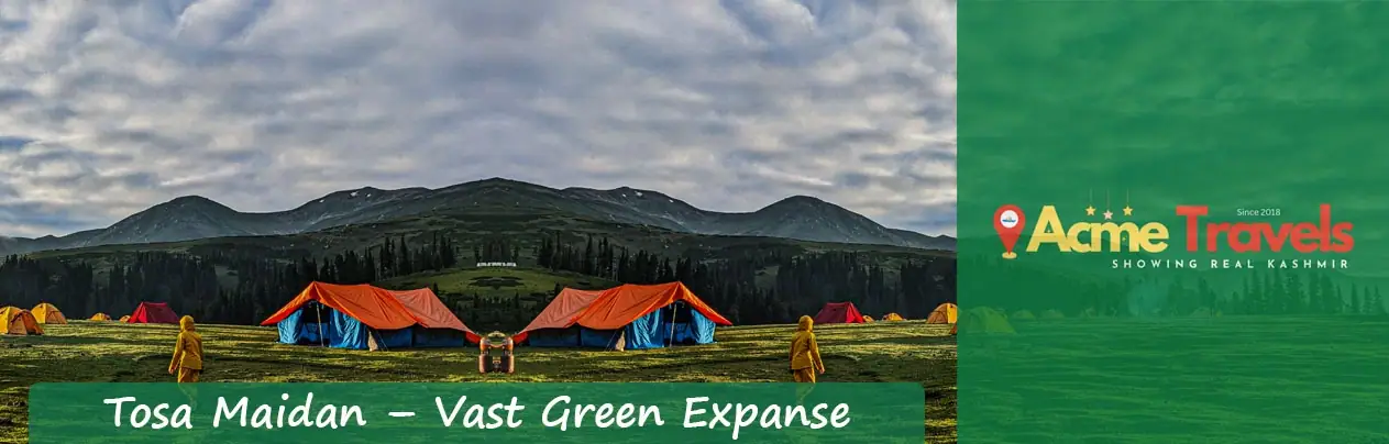 Tosa Maidan Vast Green Expanse